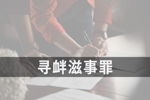2021安徽寻衅滋事罪立案标准